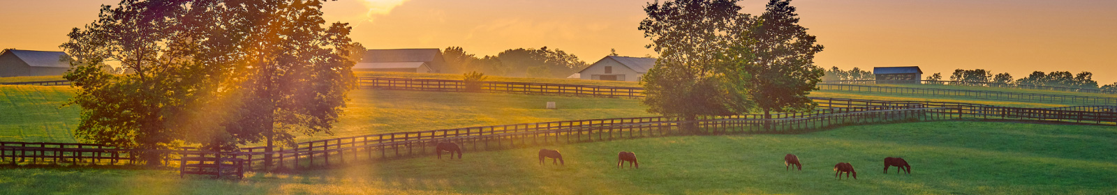 landscape image of farm